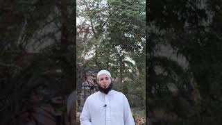 شجرة التمر الهندي في المنام للشيخ أحمد عبد الحافظ