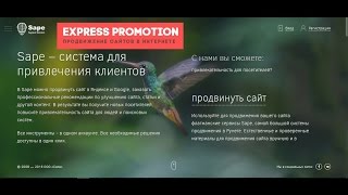 видео Видеокурс по продвижению сайтов (SEO)