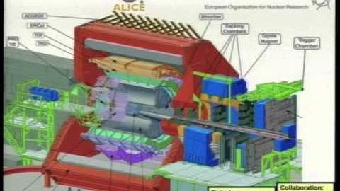 The primordial Universe: the Quark Gluon Plasma production at ALICE-LHC
