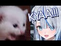 Ruka fell because of military chicken