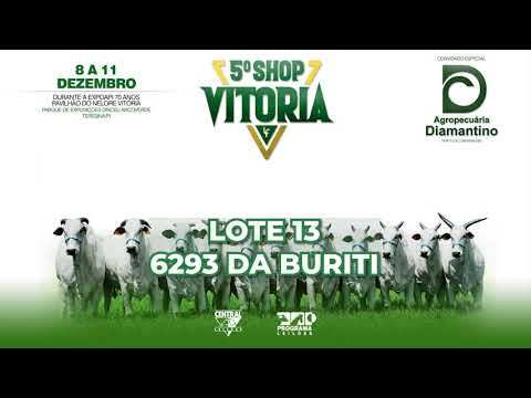 LOTE 13   DSF 6293