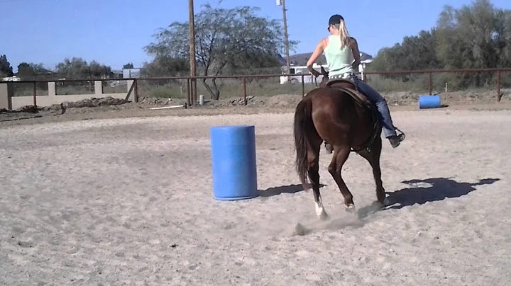 Frenchie moving off leg/Working barrels