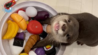 カワウソぼぶりん、闇鍋ごっこで「それは入れちゃダメ！」　Nabe Japanese stew with otters! Bob ”Don't put mine in the nabe!”