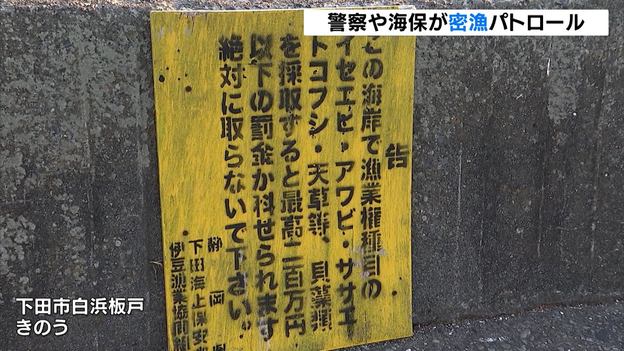 静岡県下田市でイセエビ アワビの密漁防ぐパトロール Youtube