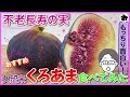 【いちじく】もっちり甘い黒イチジク、久留米くろあまを紹介！独特の食感で美味い！（品種紹介）