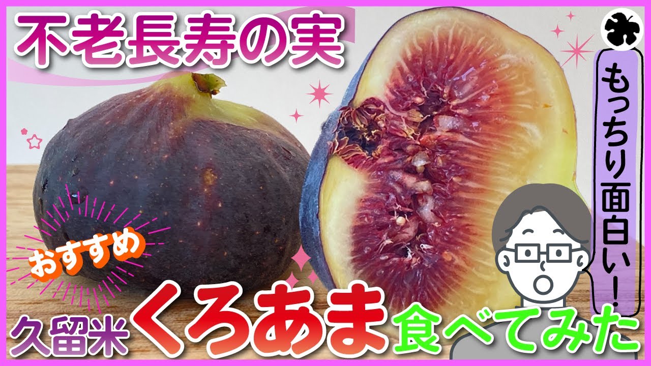 【いちじく】もっちり甘い黒イチジク、久留米くろあまを紹介！独特の食感で美味い！（品種紹介）
