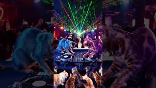 This Cat DJ Setup Is Insane #cats #funny #shorts