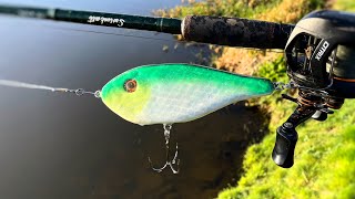 Making a Jerkbait from Scrap Wood (no power tools)