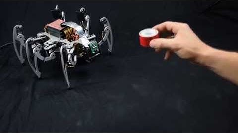 Mojo Demo - Hexapod Blob Tracking