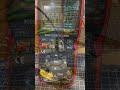 This op-amp changed the frequency (and shouldn’t)