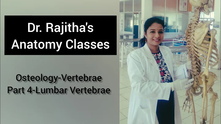 Osteology of Vertebrae Part 4 (Lumbar vertebrae) b...