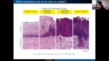 Fiona Macfarlane: Individual based and continuum models of growing cell populations
