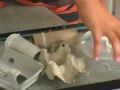 Science Fair Winners Bug Science Karen Romano Young ...