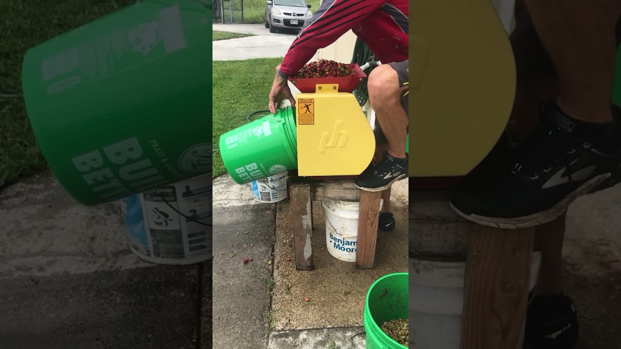 Coffee processing manually. How we started 😎 