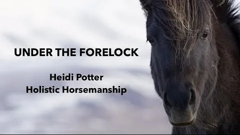 Under The Forelock:  Heidi Potter, Holistic Horsem...