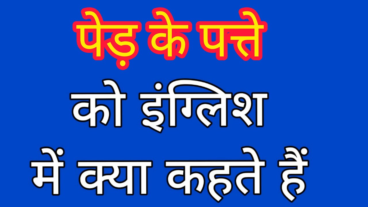 Ped ke patte english mein kya kahate hain पेड़ के पत्ते को इंग्लिश