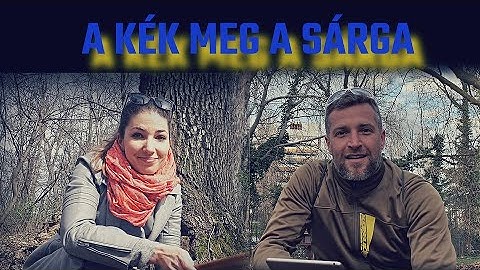 Lázár Ervin: A kék meg a sárga | Györfi Anna & Magyar Bálint