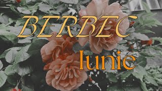 BERBEC ♈ - schimbări majore aduse chiar prin propria voință!🙏