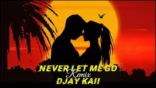 Never Let Me Go [REMIX] - Djay Kaii X Shaggy ft Tessanne Chin Resimi