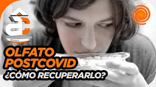 Recomiendan Terapias Para Recuperar El Olfato Postcovid Hay Gente Que Deja De Comer Y Pierde Peso