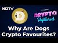 Crypto Unfiltered: How &#39;Whales&#39; &amp; &#39;Dogs&#39; Affect Your Investment