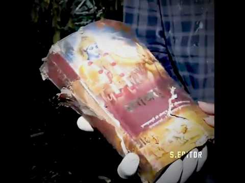 Bhagavad Gita power