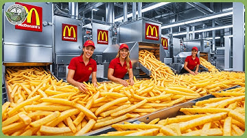 Inside French Fries Mega Factory | Amazing Potato Processing Technology