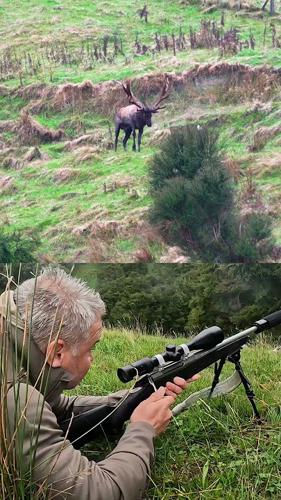 Yes he did! #wapiti#elk#hunting#travel#explore#hunt