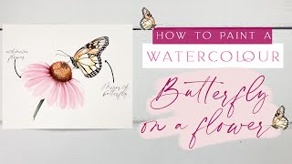 Watercolour Butterfly On A Flower Tutorial | Monarch Butterfly on an Echinacea Flower