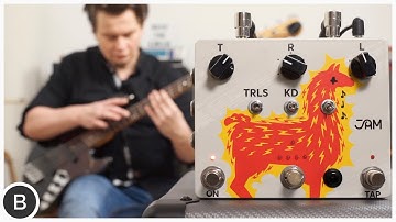 This Delay is CRAZY! (good) - Jam Pedals Delay Llama Xtreme
