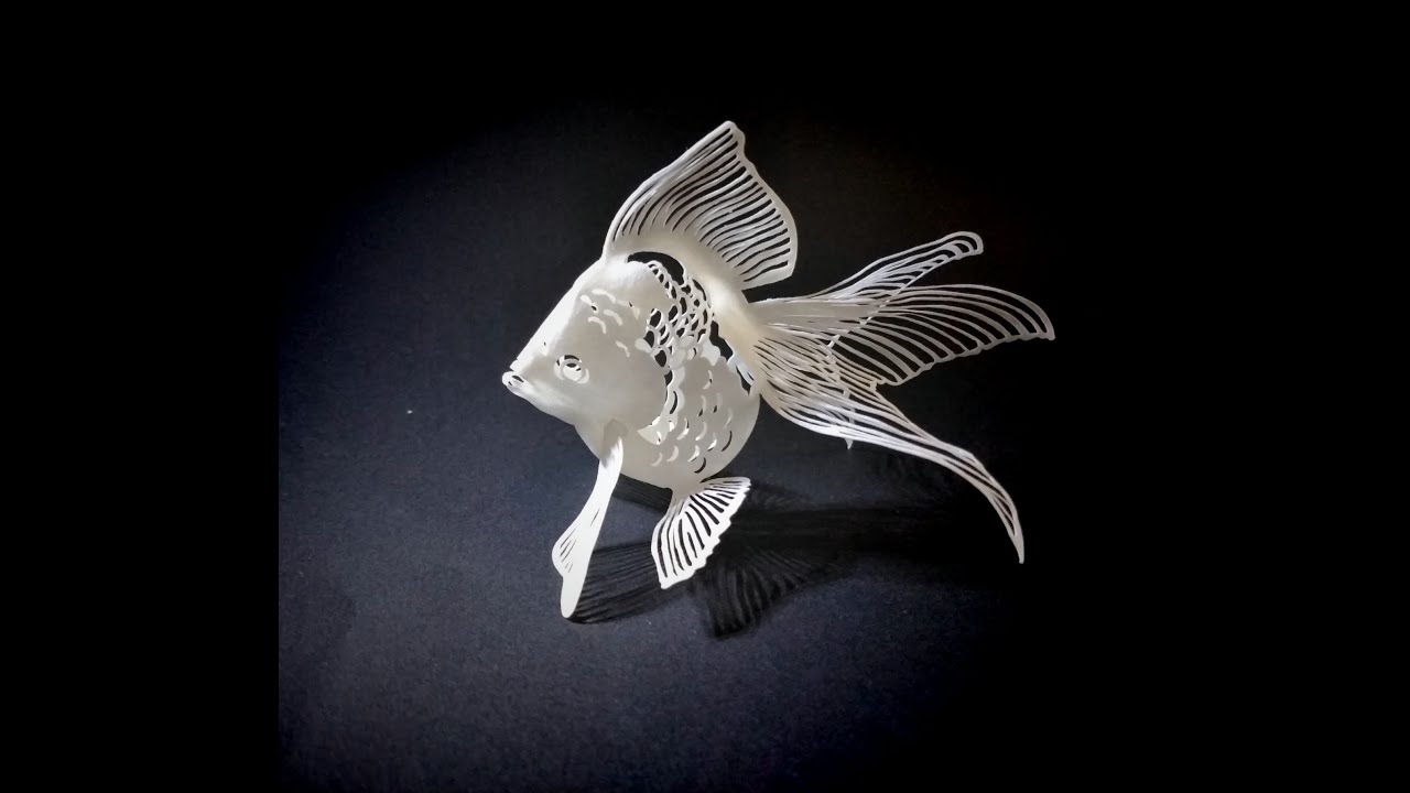 どうやって作るの 立体切り絵の秘密 金魚 組み立て編 Kiriorigami Gold Fish Youtube