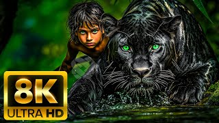 The World’s Most Majestic Wildlife | 8K Scenic Relaxation Film Ultra HD