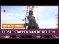 REPO: De Reuzen zetten hun eerste stappen in Leeuwarden