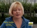 Sheila Koehler - Benefits of Franchise