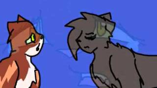 Misery Business AMV -Nightcloud and Leafpool
