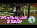 The Sims 3 - Cél a zsoké, oké? | A kezdet 1. rész