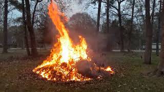 Burn Baby Burn
Burn Baby Burn
#fire #burnpile #bonfire Burn Baby Burn