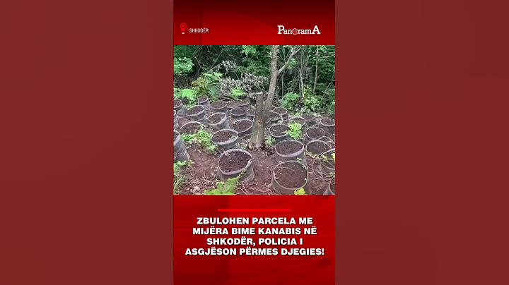 Zbulohen parcela me mijëra bime kanabis në Shkodër, policia i asgjëson përmes djegies!