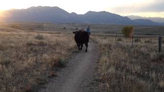 IMG 7781