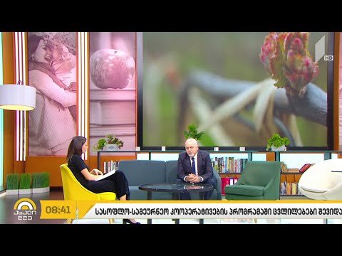 ცვლილებები მევენახეობის სასოფლო-სამეურნეო კოოპერატივების ხელშეწყობის პროგრამაში