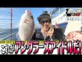 【船上騒然】一木花漣の釣果が半端ない!<釣り好き警察24時>第3話(2/4)『釣り界の新星釣りガールを逮捕せよ!』【ドランクドラゴン鈴木拓・吉野七宝実・一木花漣】