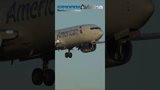 Boeing 737 AA Sunrise Closeup Landing at Miami Int'l Airport KMIA | Plane Spotting