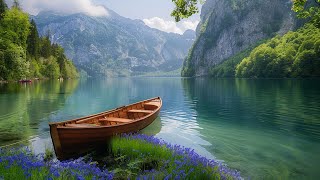 Beautiful Tender Music - Relieve Stress, Anxiety and Depression, Relaxing Sleep Music.