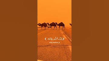 سحر التلاوة وجلال المعاني | سورة المائدة بصوت خاشع يبكي القلوب #تلاوة_خاشعة #اكسبلور #القرآن_الكريم