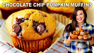 THE BEST Pumpkin Chocolate Chip Muffins (Quick AND Easy Recipe)