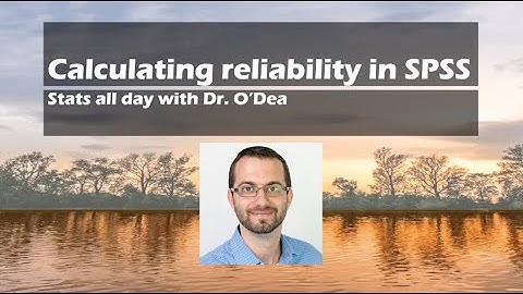 Calculating Reliability in SPSS