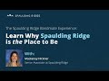 Spaulding ridge your partner for digital innovation and business growth