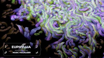 Experience | Euphyllia | Music Visualizer | doodooc.com