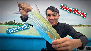 1 ngày trải nghiệm đặt lưới cá đối cầu bội thu | khám phá biển tv