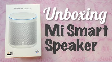 Mi Smart Speaker Unboxing + App Set Up | Google Home